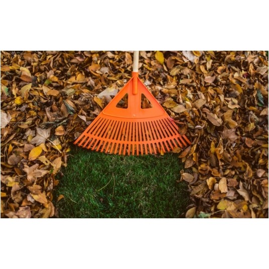 BRADAS GRABIE WACHLARZOWE 22-ZĘBY TRZONEK METALOWY -zdjęcie numer 2