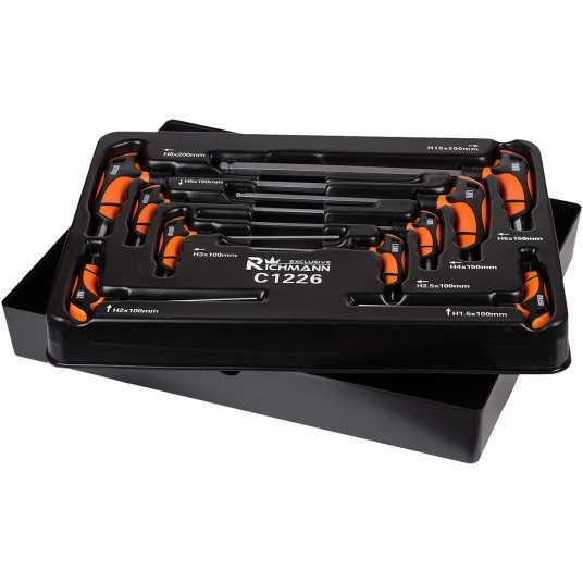 RICHMANN WKŁAD IMBUSY UCHWYT T 9 EL + TACKA C1226 -zdjęcie numer 2